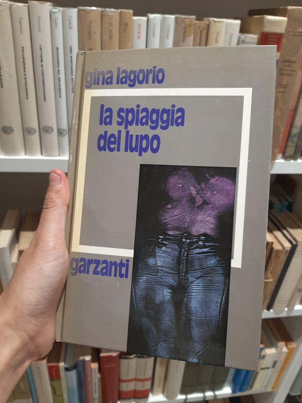 La spiaggia del lupo