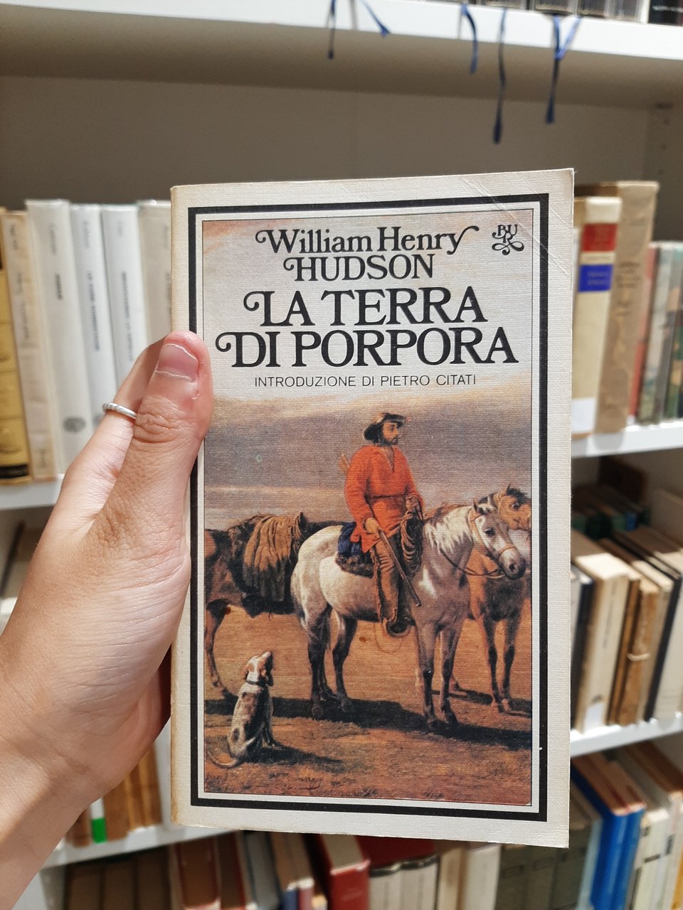 La terra di porpora
