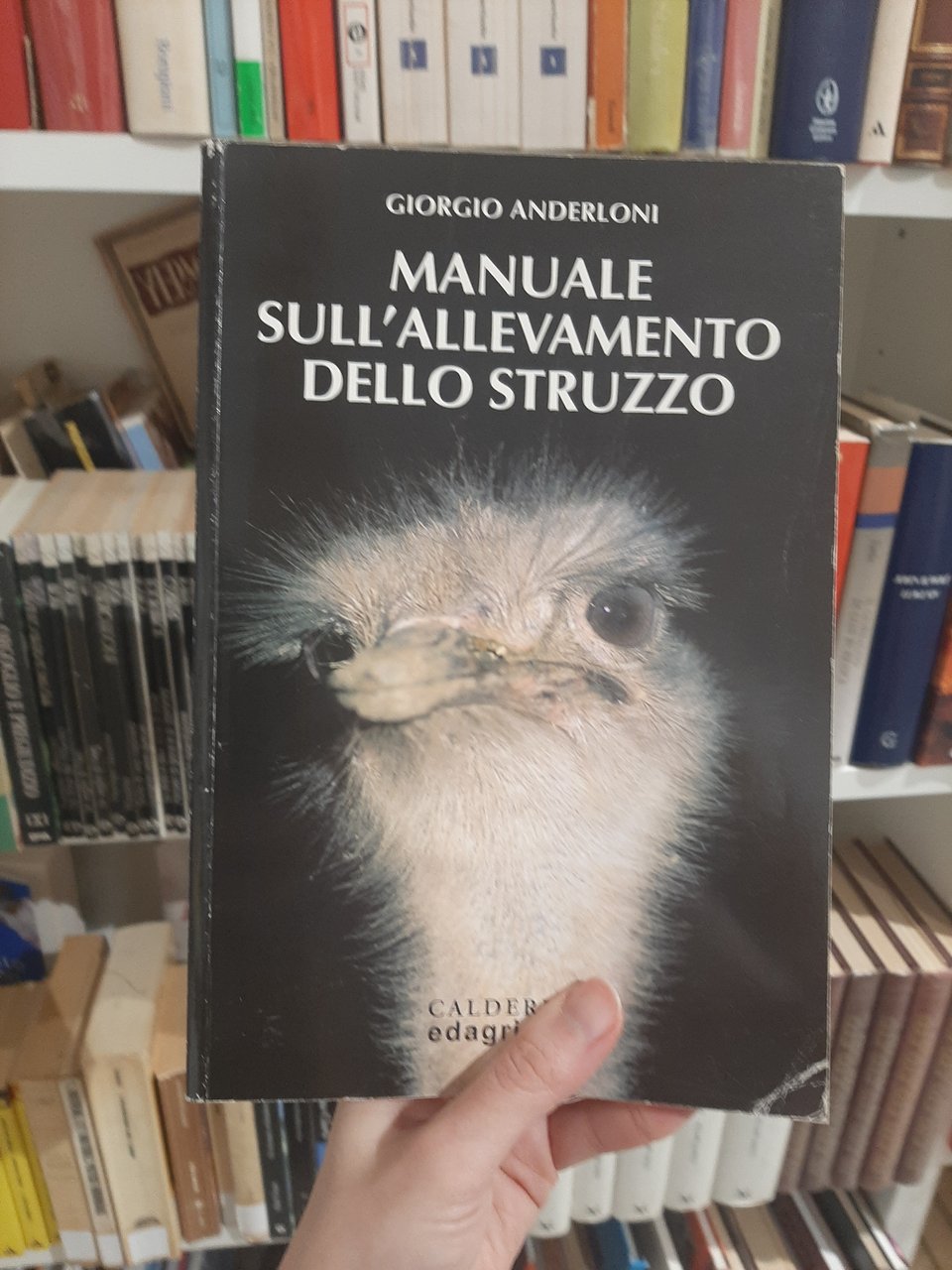 Manuale sull'allevamento dello struzzo