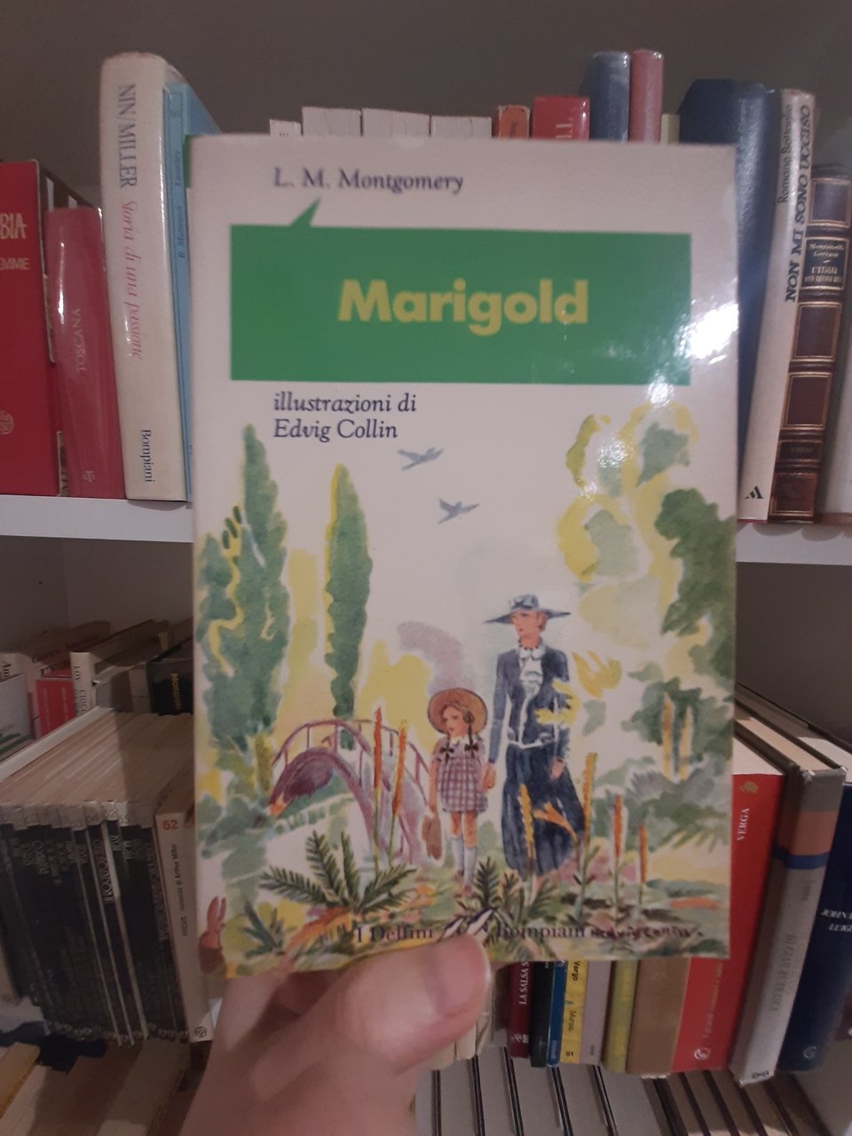 Marigold
