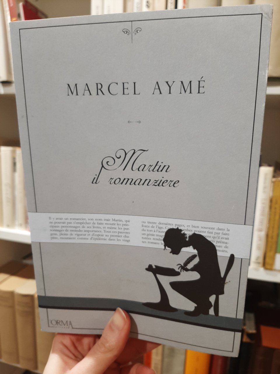 Martin il romanziere