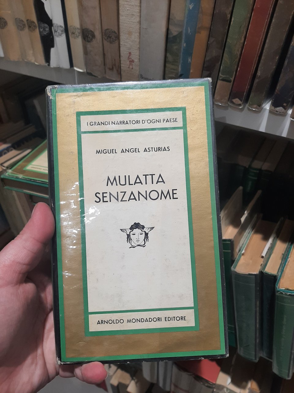 Mulatta senzanome