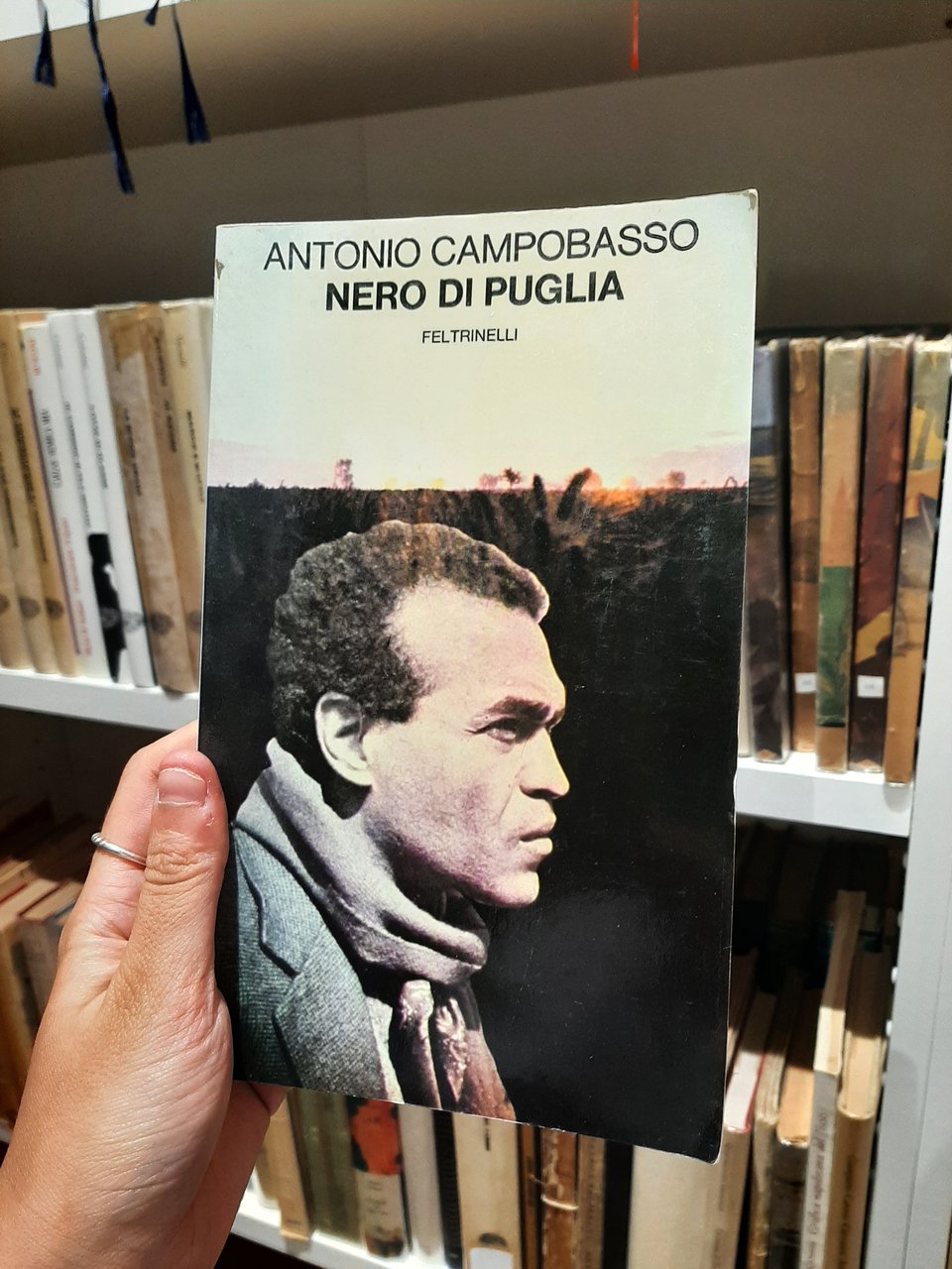 Nero di Puglia