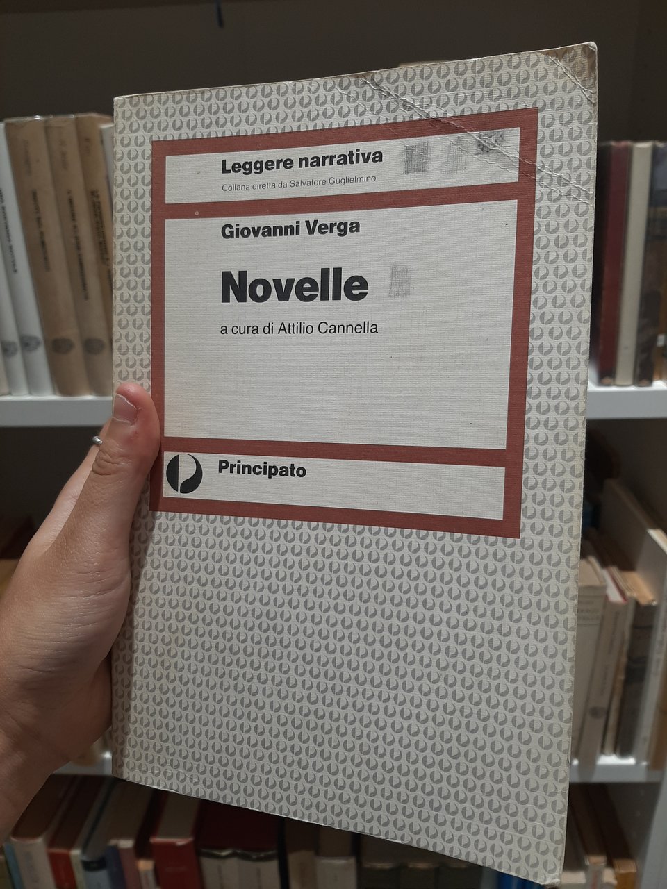 Novelle