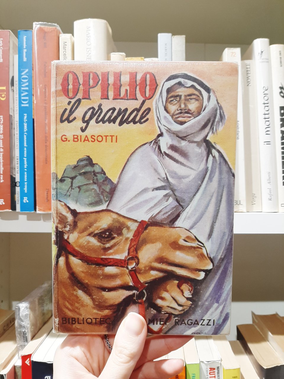 Opilio il grande