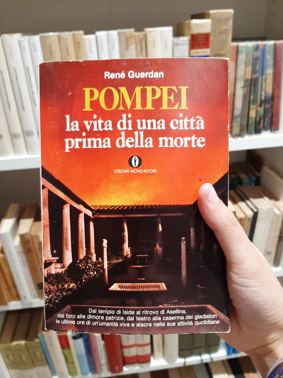 Pompei - la vita di una città prima della morte