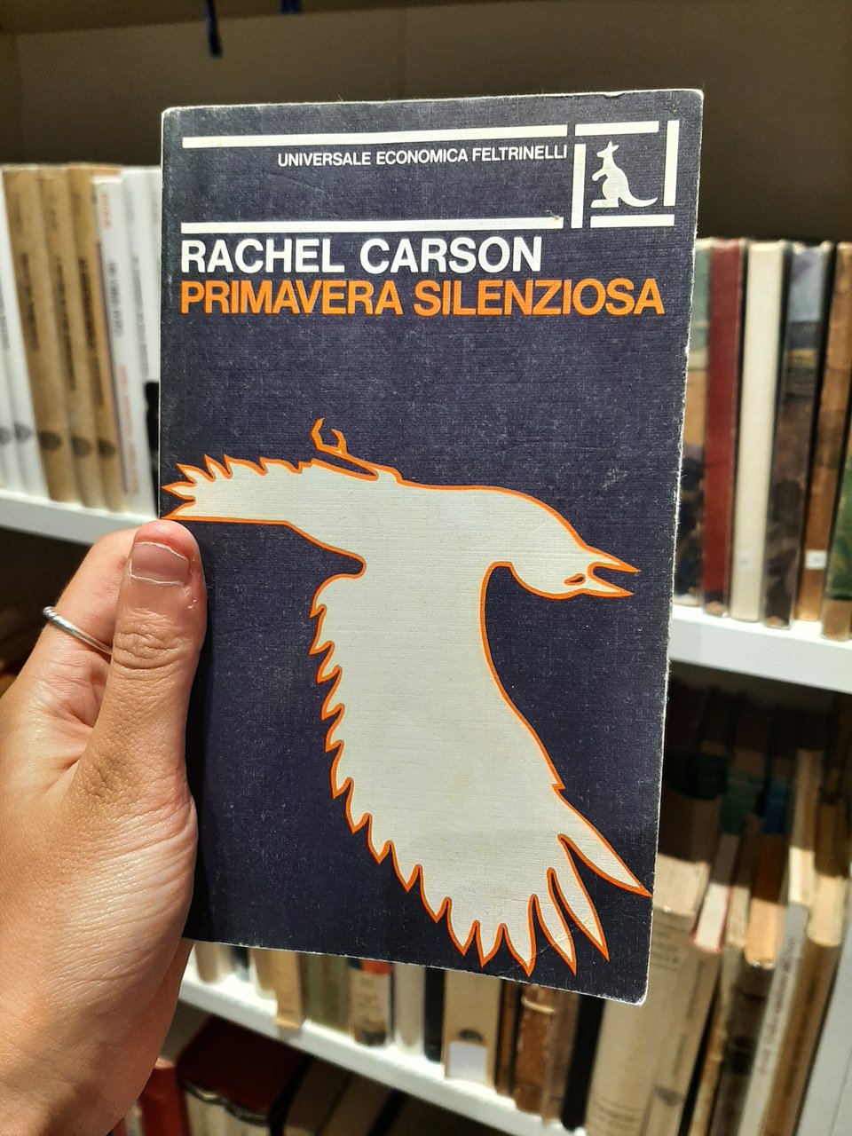 Primavera silenziosa