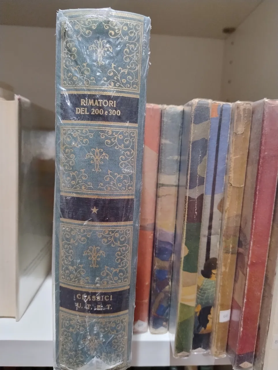 Rimatori del 200 e 300 | Immagine principale