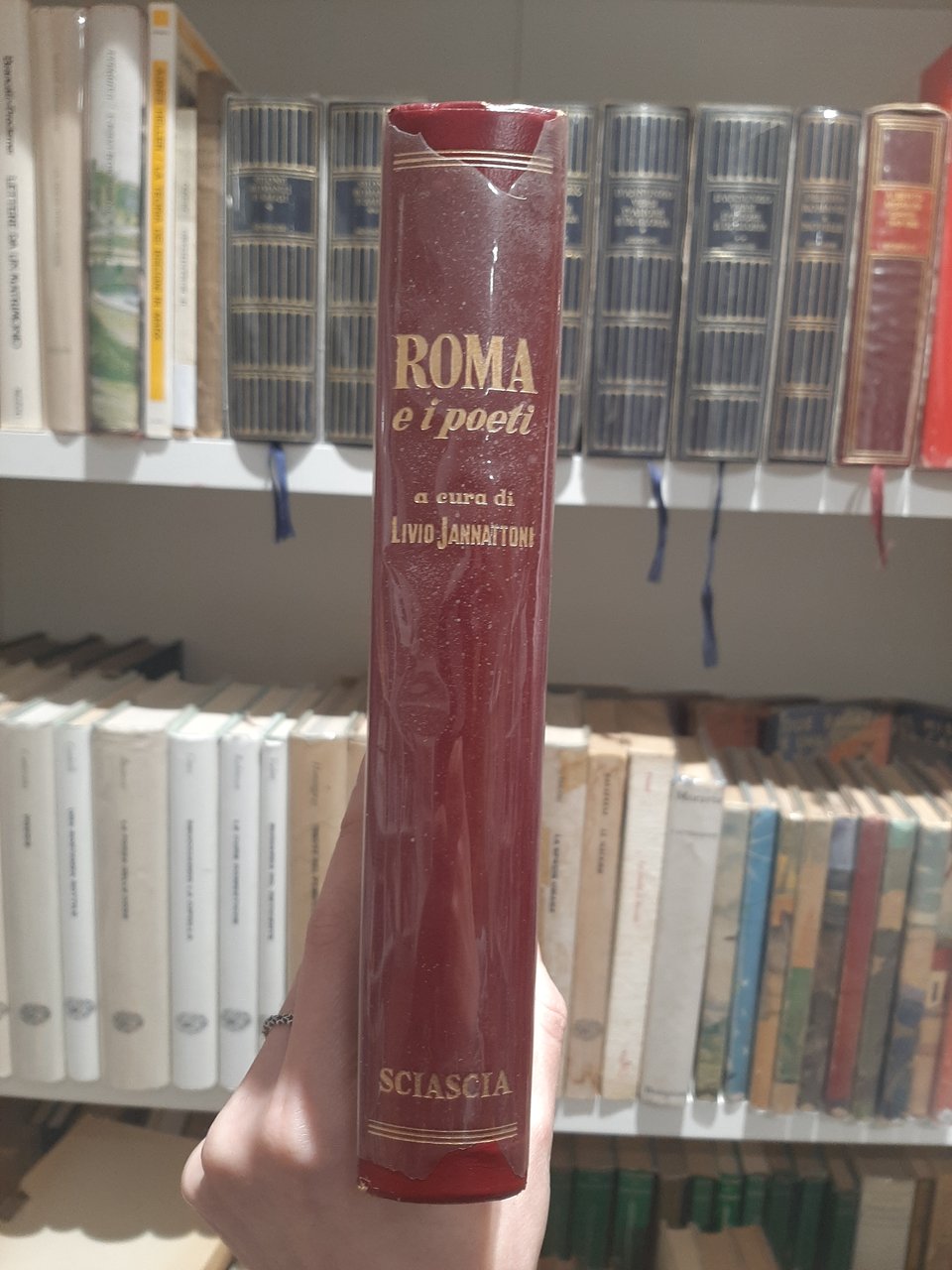Roma e i Poeti