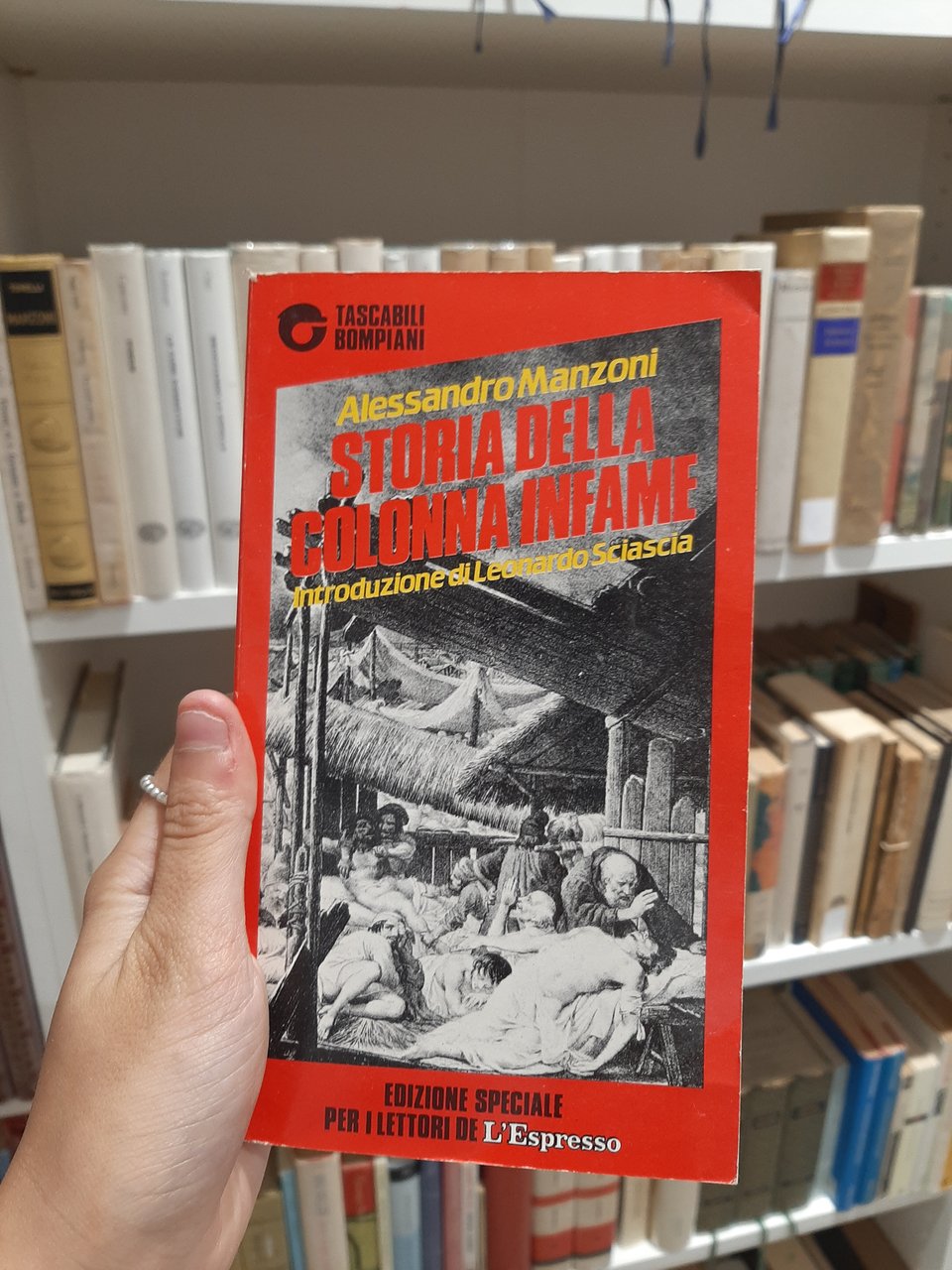 Storia della colonna infame