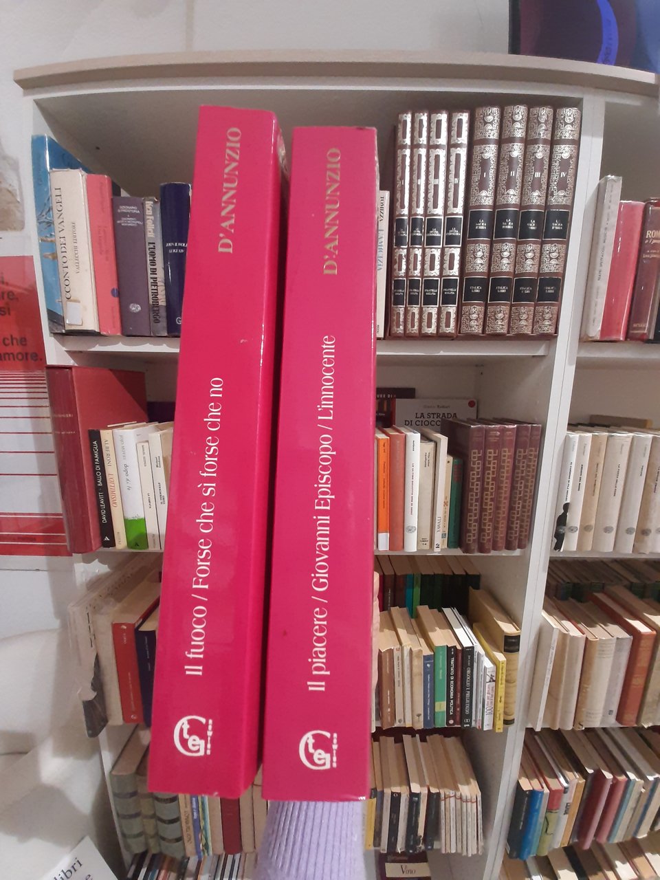 Tutti i romanzi (Il piacere/Giovanni Episcopo/L'innocente - Il fuoco/ Forse …