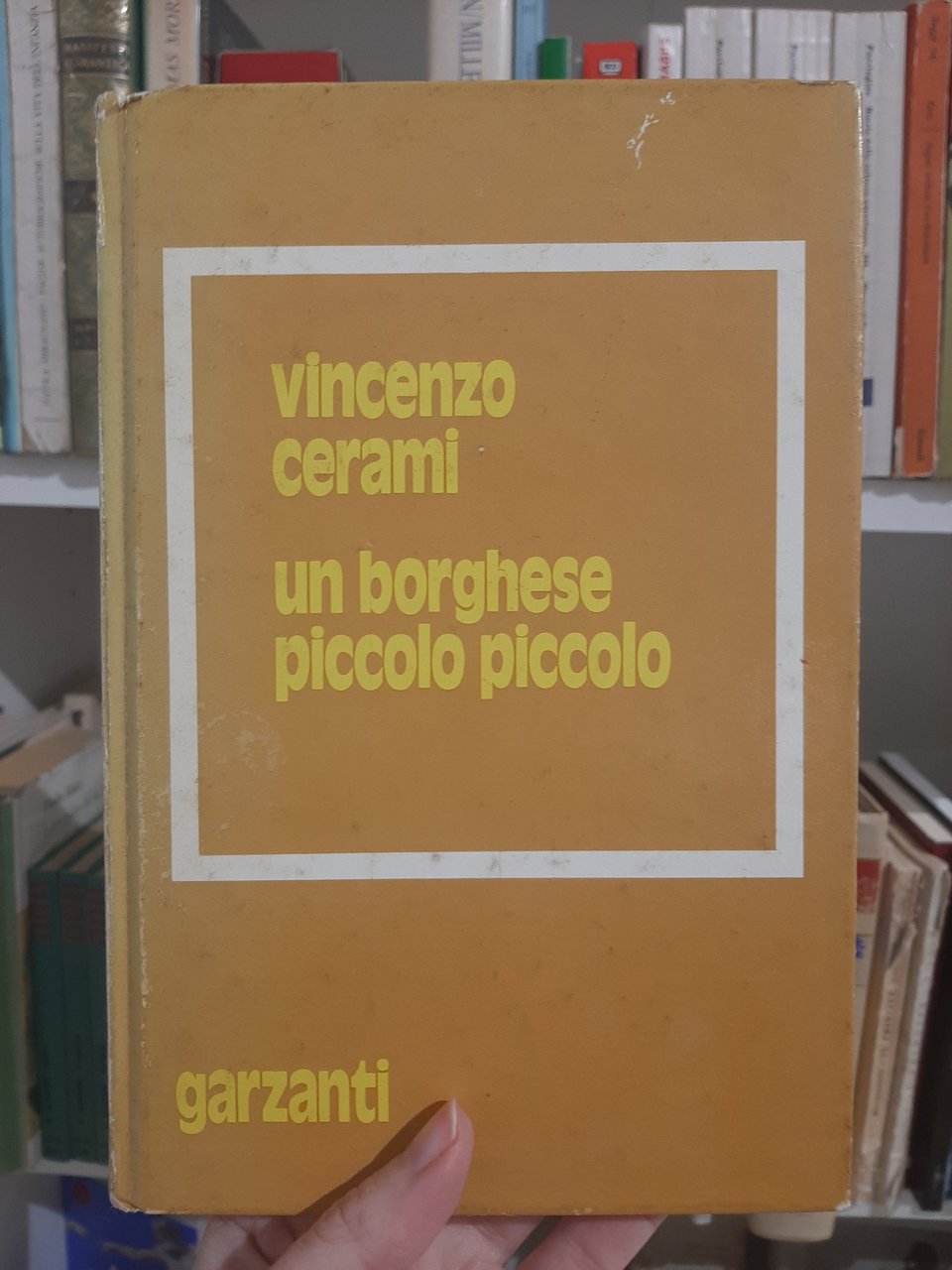 Un borghese piccolo piccolo