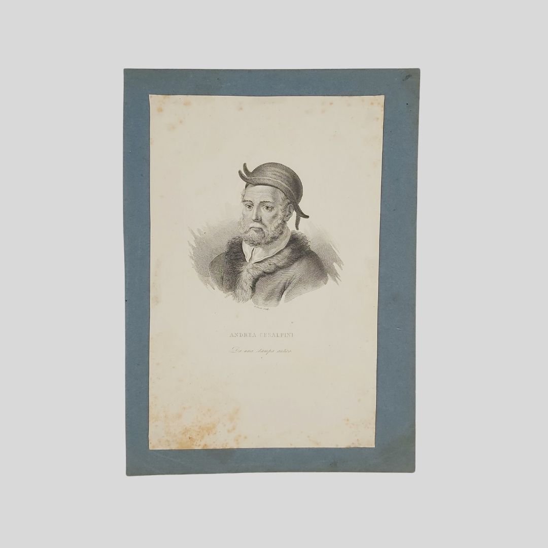 Andrea Cesalpino [1519-1603] Botanico, medico, e anatomista