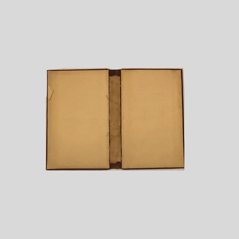 Antica legatura francese. 1840 ca. | Immagine Gallery 2