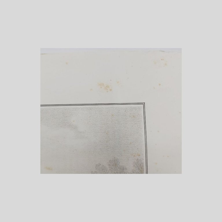 Battaglia del Volturno. Le truppe napoletane respinte al di là …