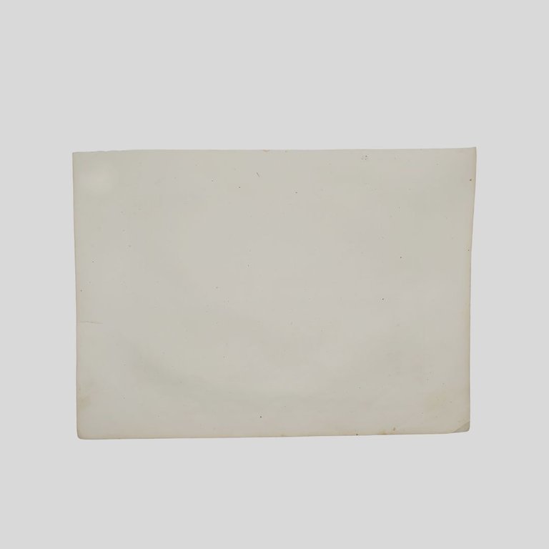 Battaglia del Volturno. Le truppe napoletane respinte al di là …