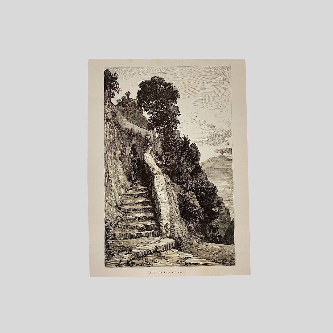Capri. Alte scalinata a Capri. | Immagine principale