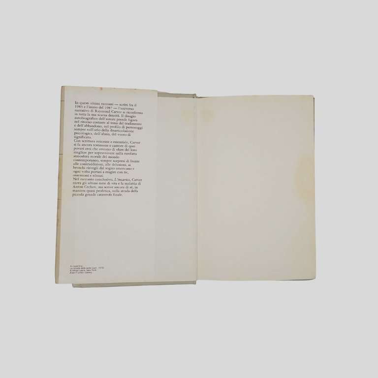 Chi ha usato questo letto. Traduzione di Riccardo Duranti. | Immagine Gallery 2