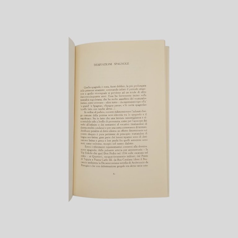 Del parlar napoletano. Manualetto per tutti. | Immagine Gallery 5