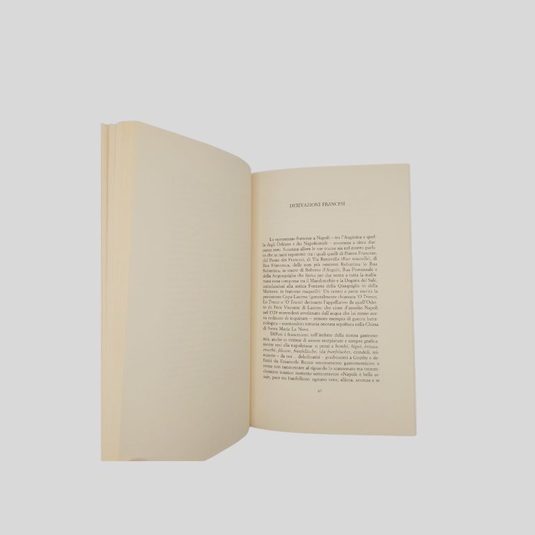 Del parlar napoletano. Manualetto per tutti. | Immagine Gallery 6