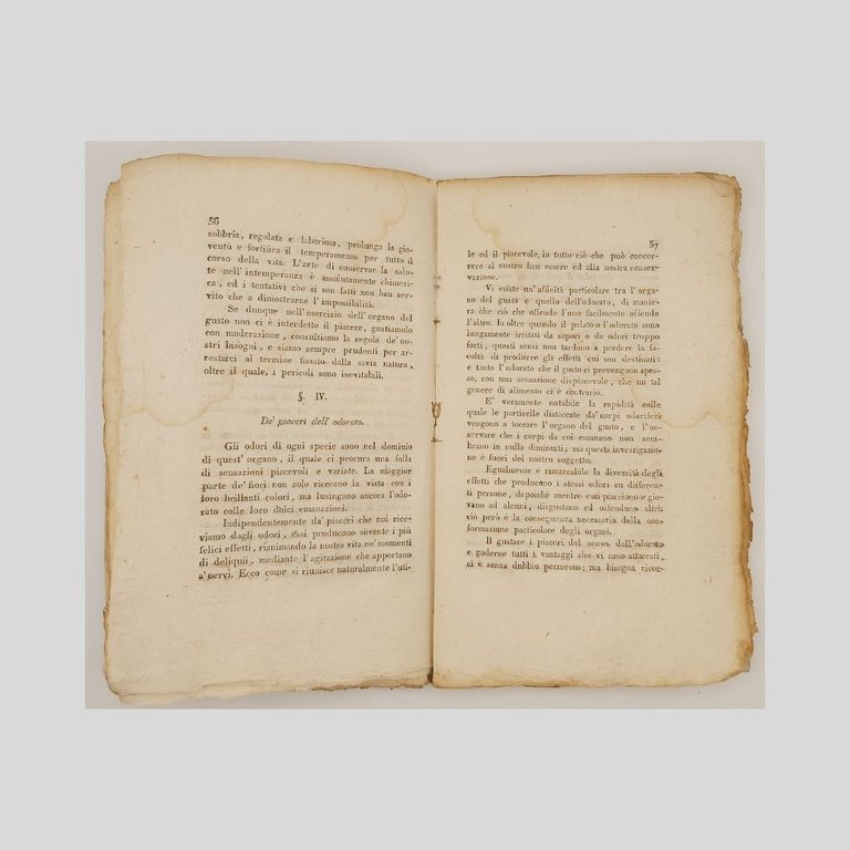 Della felicità individuale considerata in rapporto al fisico ed al … | Immagine Gallery 4