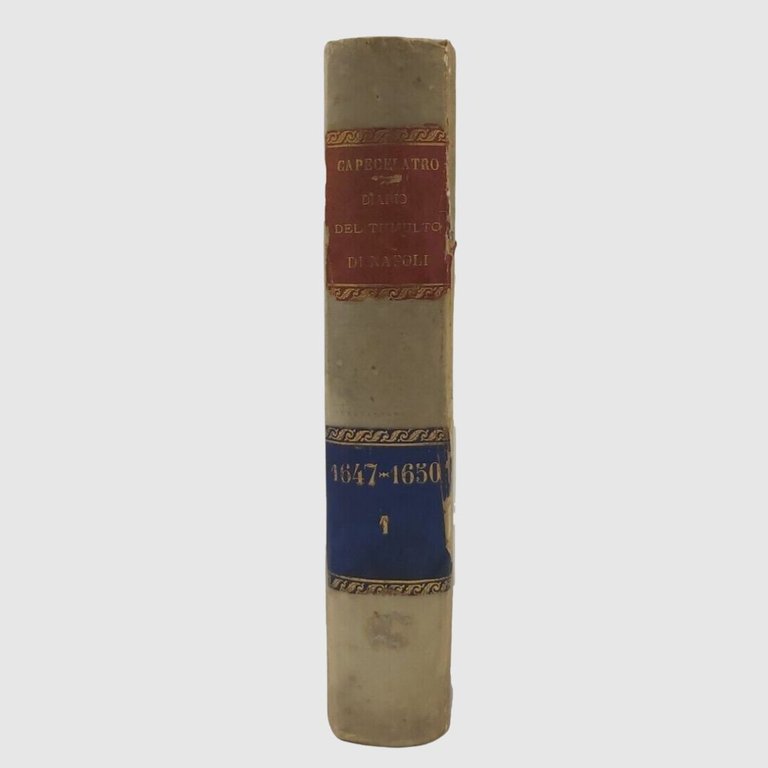 Diario contenente la storia delle cose avvenute nel Reame di …