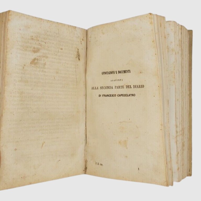 Diario contenente la storia delle cose avvenute nel Reame di …
