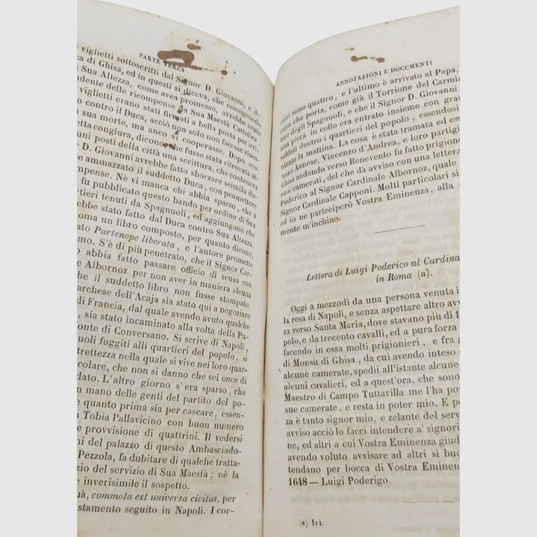Diario contenente la storia delle cose avvenute nel Reame di …