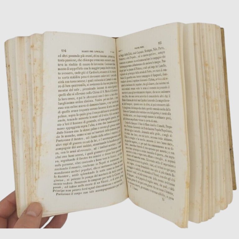 Diario contenente la storia delle cose avvenute nel Reame di …