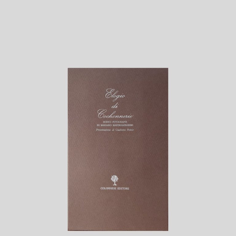 Elogio di Cochonnerie. Dodici fotografie. Presentazione di Gualtiero Peirce. | Immagine Gallery 3