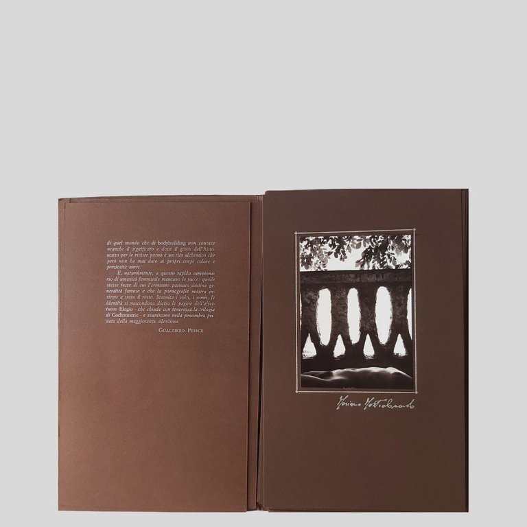 Elogio di Cochonnerie. Dodici fotografie. Presentazione di Gualtiero Peirce. | Immagine Gallery 4