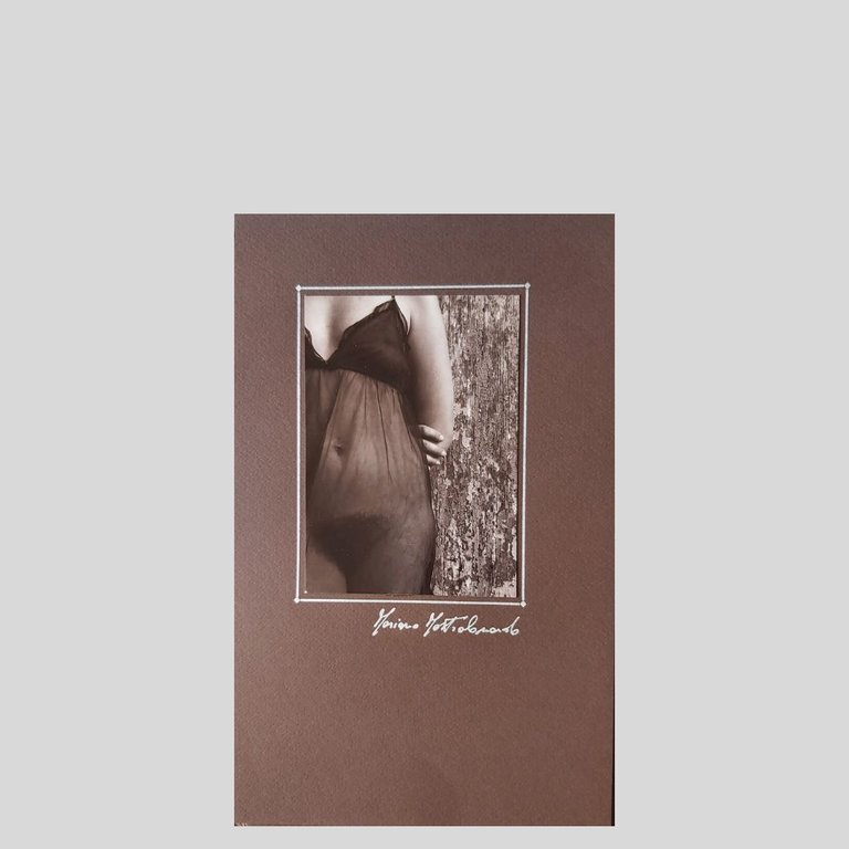 Elogio di Cochonnerie. Dodici fotografie. Presentazione di Gualtiero Peirce. | Immagine Gallery 5