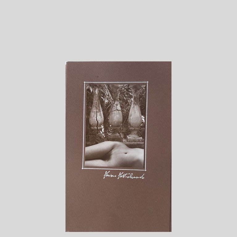 Elogio di Cochonnerie. Dodici fotografie. Presentazione di Gualtiero Peirce. | Immagine Gallery 6