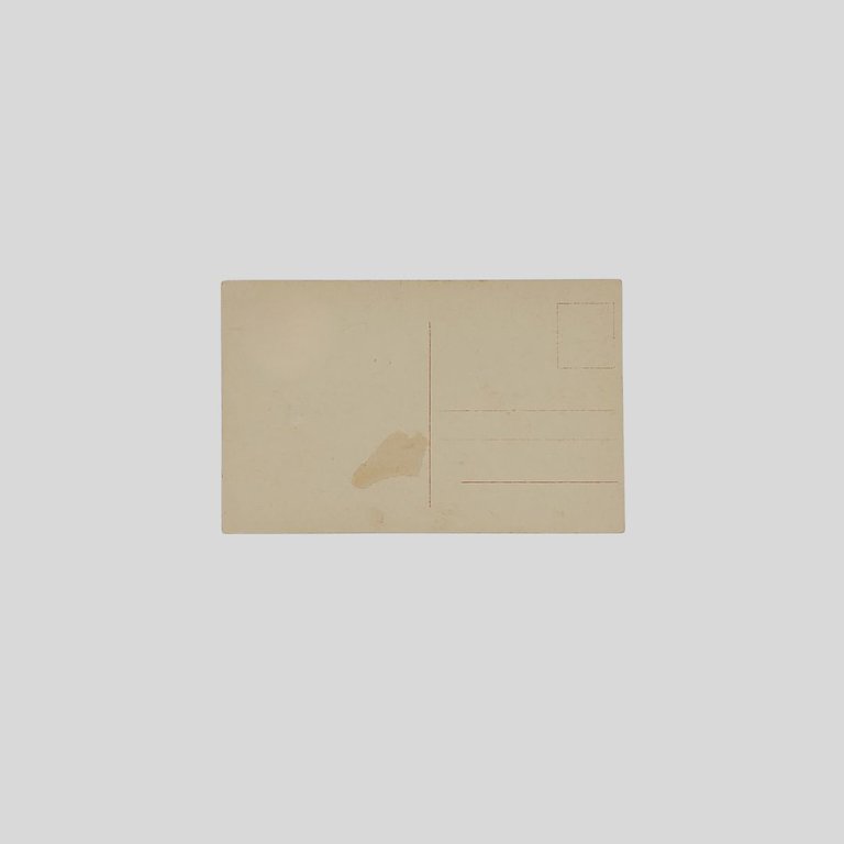 Equitazione. | Immagine Gallery 2