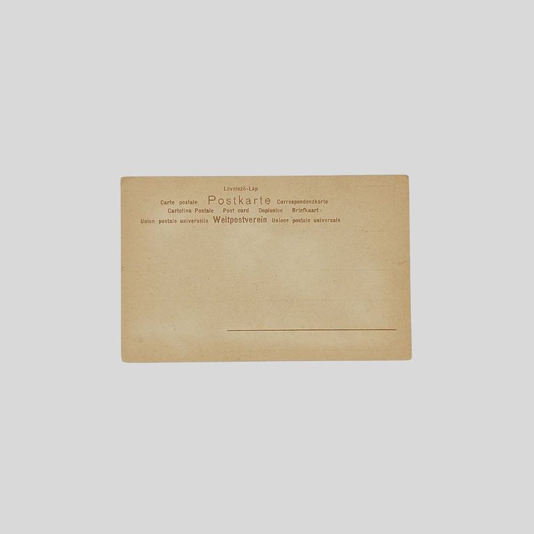 Fiori. | Immagine Gallery 2