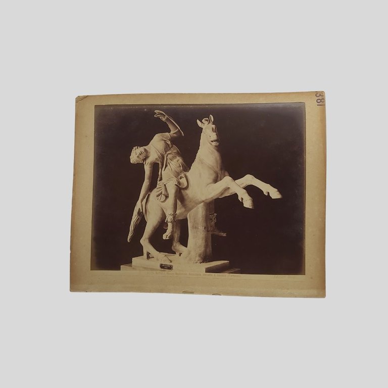 Guerriero gallo. Edizioni Brogi. | Immagine Gallery 2