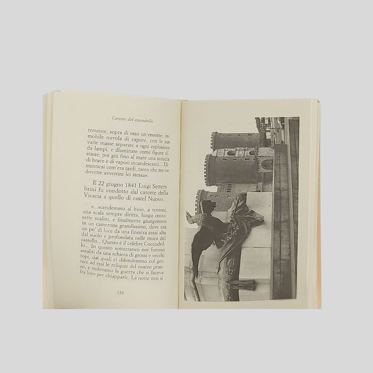 Guida letteraria della città di Napoli.