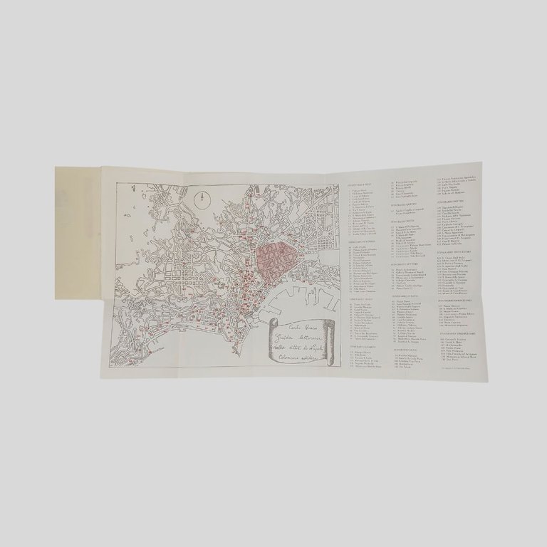 Guida letteraria della città di Napoli.