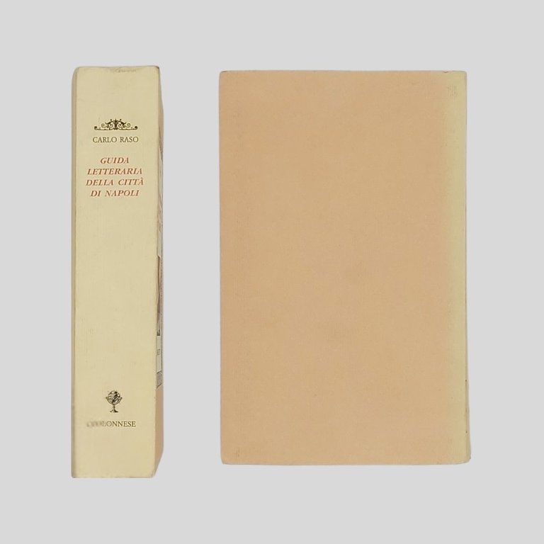 Guida letteraria della città di Napoli.