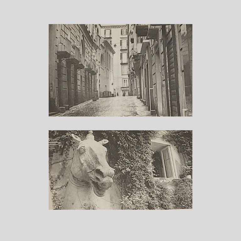 Guida letteraria di Napoli.