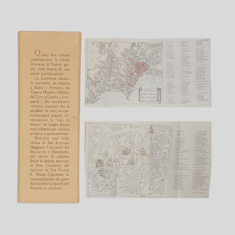 Guida letteraria di Napoli.