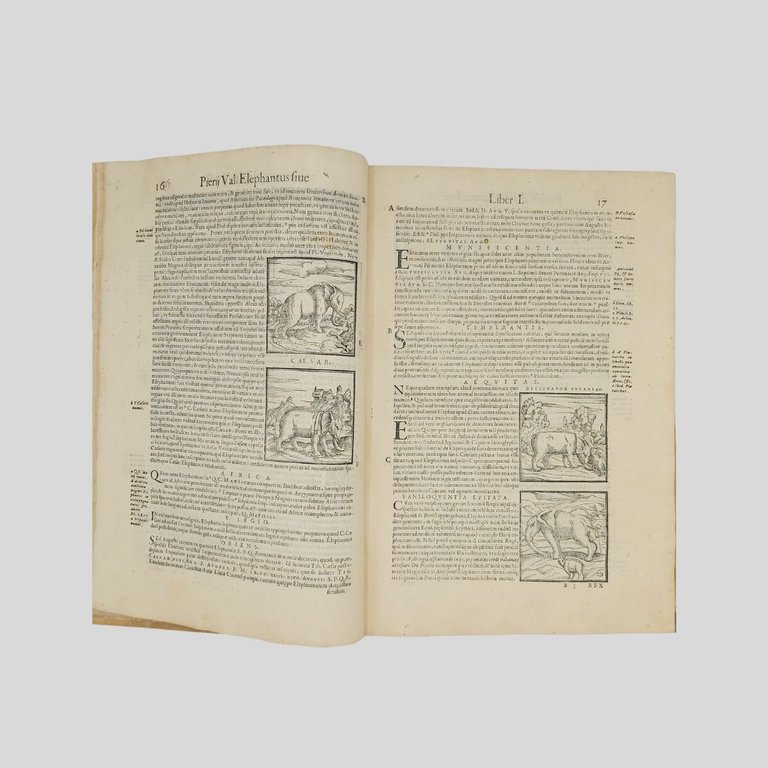 Hieroglyphica, seu de sacris aegyptiorvm, aliarvmque gentivm lieris commentarii. Summa …