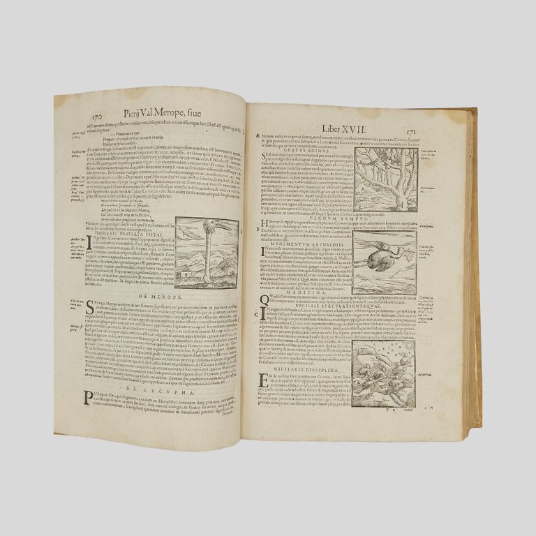 Hieroglyphica, seu de sacris aegyptiorvm, aliarvmque gentivm lieris commentarii. Summa …
