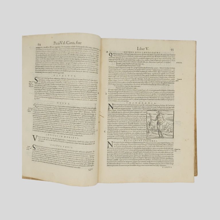 Hieroglyphica, seu de sacris aegyptiorvm, aliarvmque gentivm lieris commentarii. Summa …