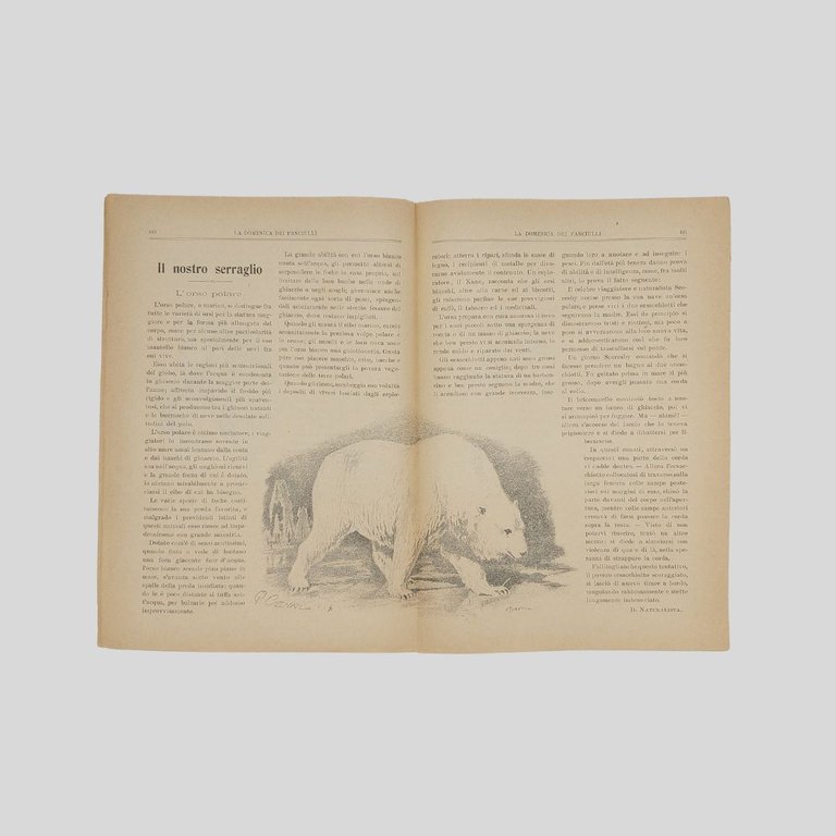 La domenica dei fanciulli. Giornale settimanale illustrato.