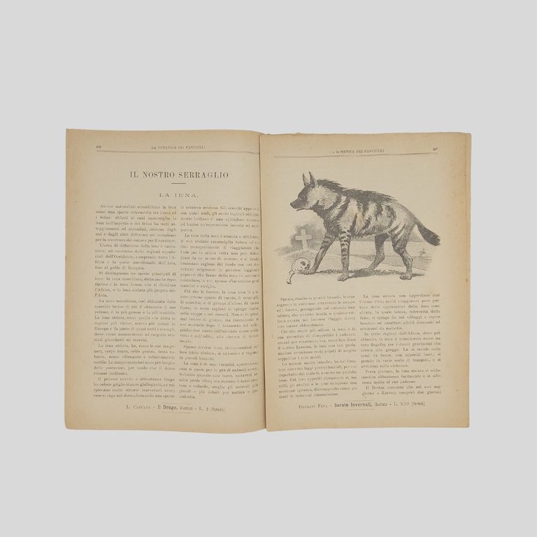 La domenica dei fanciulli. Giornale settimanale illustrato.