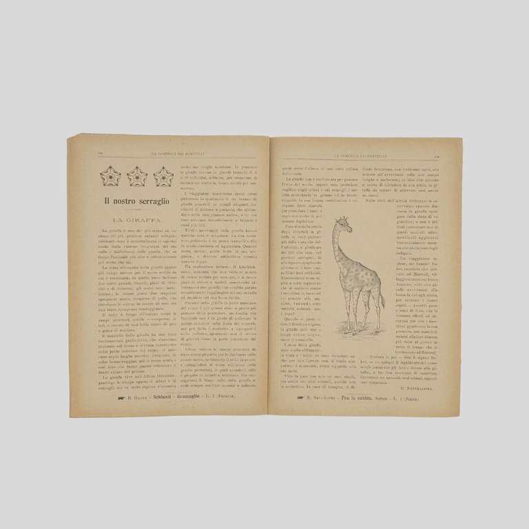 La domenica dei fanciulli. Giornale settimanale illustrato.