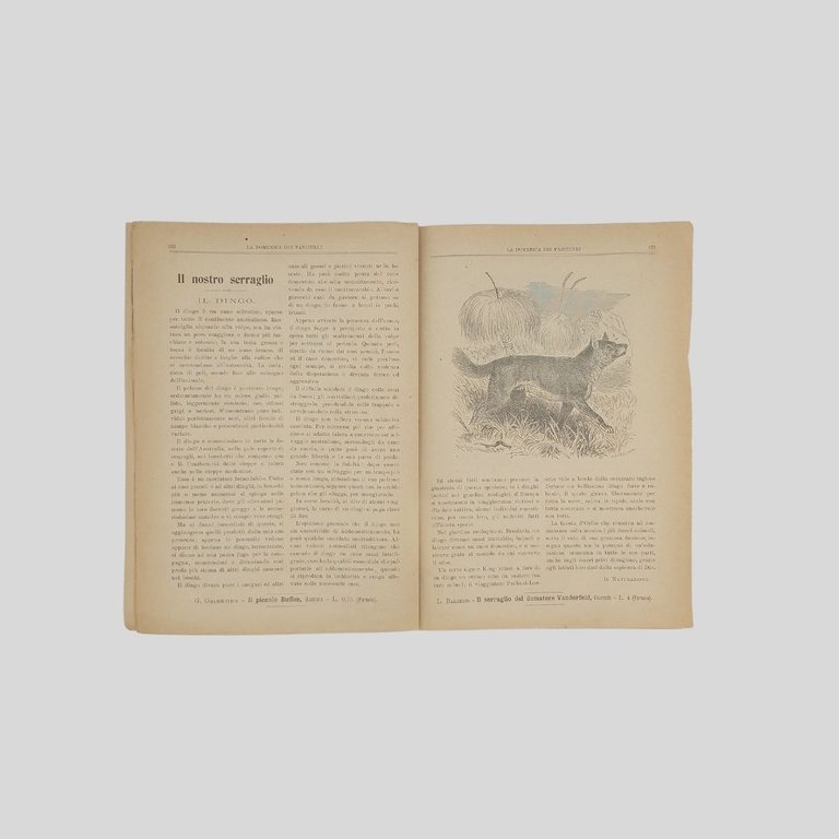 La domenica dei fanciulli. Giornale settimanale illustrato.