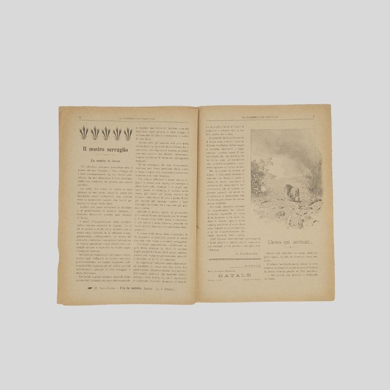 La domenica dei fanciulli. Giornale settimanale illustrato.