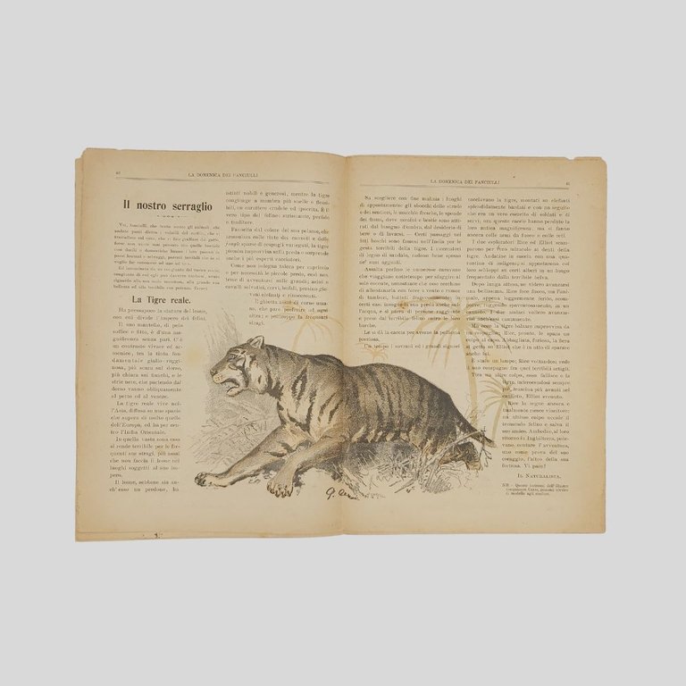 La domenica dei fanciulli. Giornale settimanale illustrato.
